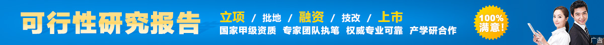 可行性報告