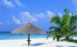 三亞所有景區(qū)景點暫停營業(yè) 2020濱海旅游行業(yè)市場深度分析