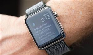 Apple Watch或可打斷噩夢是什么功能?2020年電子設備行業(yè)市場現(xiàn)狀調研
