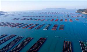 2020海洋漁業(yè)行業(yè)市場前景及現(xiàn)狀分析