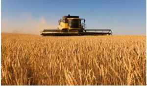 2021年糧食加工未來發(fā)展前景及供需情況分析