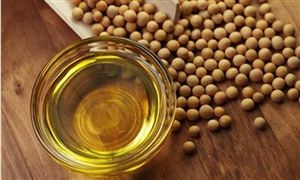 豆油市場占有率分析 2021豆油行業(yè)發(fā)展現(xiàn)狀與前景分析