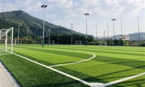 到2025年社會足球場地全面開放 未來足球場用人造草坪產(chǎn)業(yè)市場蓬發(fā)