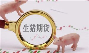 生豬期貨首個合約摘牌 生豬行業(yè)行業(yè)行業(yè)預測