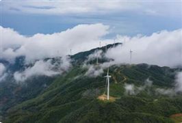碳中和碳達(dá)峰最新政策分析 新能源光伏風(fēng)電發(fā)展前景和趨勢(shì)