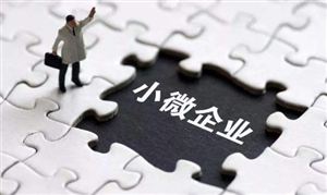 國家稅務(wù)總局:做好制造業(yè)中小微企業(yè)緩繳稅費(fèi)工作 小微金融行業(yè)分析