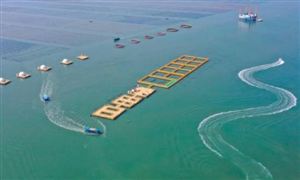 “十四五”大連大力發(fā)展海洋牧場 中國海洋牧場現(xiàn)狀分析及未來發(fā)展規(guī)劃