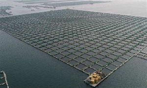 海洋牧場行業(yè)市場規(guī)模 中國海洋牧場建設(shè)現(xiàn)狀分析