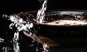 2022年白酒行業(yè)現(xiàn)狀及發(fā)展趨勢(shì)分析