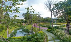 城市公園規(guī)劃建設(shè)行業(yè)市場格局與需求分析