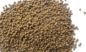 2022鰻魚飼料行業(yè)發(fā)展前景及現(xiàn)狀分析