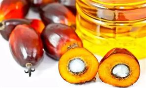 2022中國(guó)食品飲料加工行業(yè)成本與供應(yīng)鏈危機(jī)分析