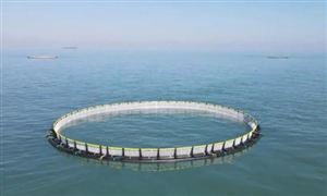 海洋牧場行業(yè)發(fā)展分析 2022海洋牧場投資前景分析