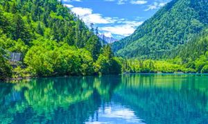 中國智慧旅游行業(yè)市場規(guī)模及未來發(fā)展趨勢分析