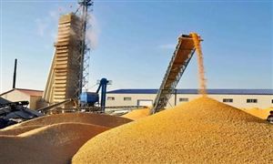 2022年糧食倉儲行業(yè)發(fā)展前景及市場模式調研分析