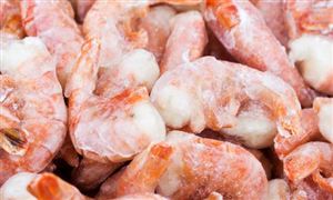 冷凍食品市場調(diào)研報(bào)告 冷凍食品行業(yè)發(fā)展前景
