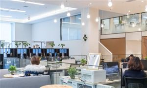 企業(yè)孵化器的發(fā)展現(xiàn)狀 企業(yè)孵化器的發(fā)展趨勢