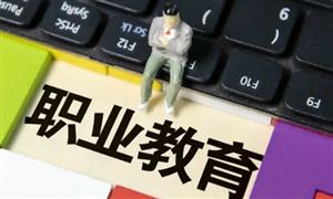 中國職業(yè)教育行業(yè)現(xiàn)狀及發(fā)展趨勢分析