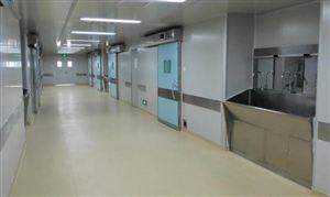 潔凈室服務(wù)行業(yè)市場調(diào)研 潔凈室服務(wù)行業(yè)發(fā)展分析