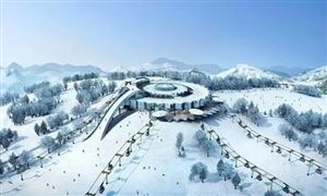 2022年冰雪經(jīng)濟行業(yè)發(fā)展規(guī)劃及市場調(diào)研分析
