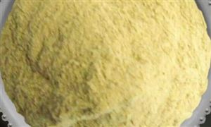 2022年復(fù)合氨基酸行業(yè)現(xiàn)狀及發(fā)展前景分析