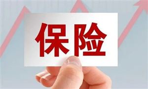 中國(guó)保險(xiǎn)經(jīng)紀(jì)行業(yè)發(fā)展前景及投資風(fēng)險(xiǎn)