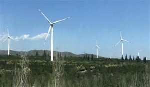 2022中國(guó)海上風(fēng)電市場(chǎng)裝機(jī)規(guī)模與發(fā)展政策規(guī)劃