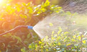 無毒生物農藥市場調研