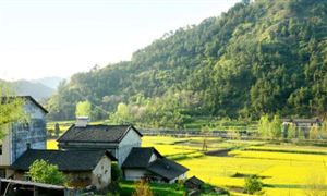 生態(tài)環(huán)保法律體系基本形成 “1+N+4”的生態(tài)環(huán)保領(lǐng)域法是什么意思
