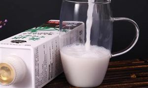 植物蛋白飲料迎行業(yè)新風(fēng)口 中國(guó)植物蛋白飲料發(fā)展前景及市場(chǎng)競(jìng)爭(zhēng)