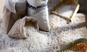 大米市場(chǎng)調(diào)查 2022年中國(guó)高端大米的市場(chǎng)分析 ?