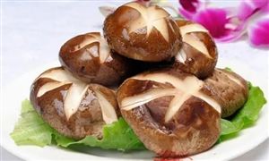 中國食用菌行業(yè)產(chǎn)量及發(fā)展空間分析