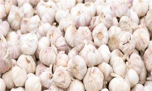 大蒜行業(yè)深度分析 大蒜行業(yè)前景及現(xiàn)狀分析報告2022