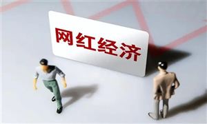焦點(diǎn)分析:2022網(wǎng)紅經(jīng)濟(jì)產(chǎn)業(yè)深度調(diào)研分析