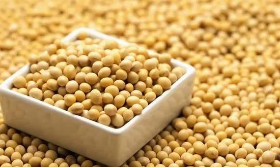 黃大豆行業(yè)市場深度調(diào)研 黃大豆行業(yè)發(fā)展前景投資分析