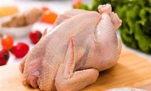 即食雞胸肉賽事進(jìn)入“拼耐力”階段 雞肉行業(yè)運(yùn)營(yíng)態(tài)勢(shì)