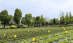 智慧農(nóng)業(yè)行業(yè)市場(chǎng)競(jìng)爭(zhēng)格局 智慧農(nóng)業(yè)行業(yè)投資風(fēng)險(xiǎn)預(yù)測(cè)