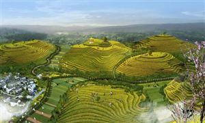 農業(yè)旅游行業(yè)相關企業(yè)數(shù)量 農業(yè)旅游行業(yè)未來前景展望