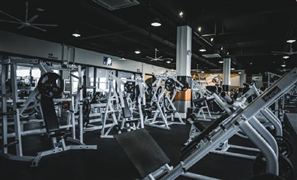 中國健身器械行業(yè)市場全景調研與發(fā)展前景預測報告