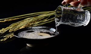 濃香型白酒行業(yè)市場消費分析 濃香型白酒行業(yè)未來發(fā)展趨勢2023