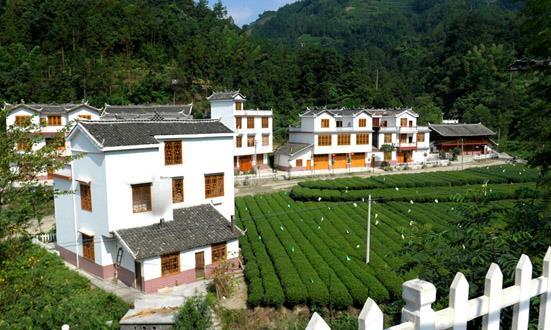 新農(nóng)村建設(shè)行業(yè)發(fā)展機(jī)遇 新農(nóng)村建設(shè)行業(yè)發(fā)展現(xiàn)狀及前景分析