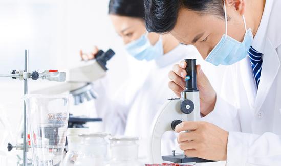 2023聚酰亞胺行業(yè)市場投資價值評估分析
