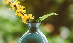 花卉種植發(fā)展趨勢(shì)如何 花卉種植行業(yè)市場(chǎng)深度分析2023