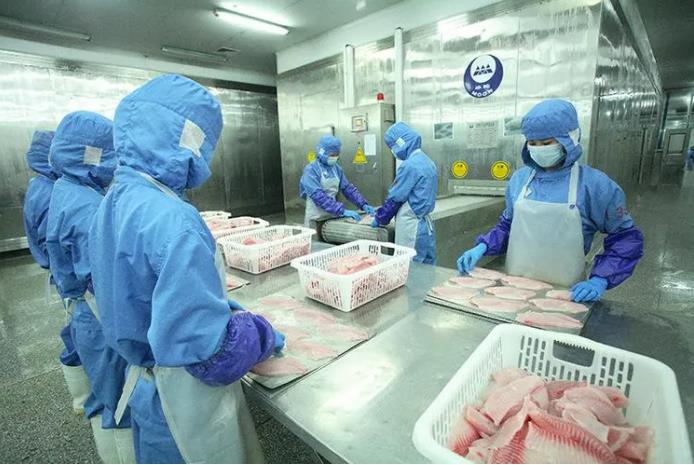 湛江打造中國水產(chǎn)預(yù)制菜之都 2023水產(chǎn)品加工業(yè)高質(zhì)量發(fā)展路徑