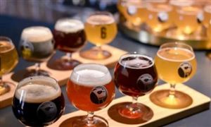 精釀啤酒市場規(guī)模 精釀啤酒行業(yè)深度研究及投資分析