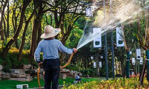 園林養(yǎng)護行業(yè)現狀趨勢 園林養(yǎng)護行業(yè)市場發(fā)展方向