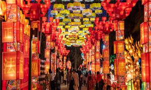 2023非物質(zhì)文化遺產(chǎn)行業(yè)發(fā)展趨勢(shì)及市場(chǎng)現(xiàn)狀分析