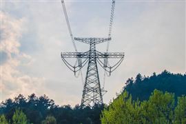 中國(guó)移動(dòng)發(fā)布2022年年度業(yè)績(jī) 通信業(yè)務(wù)總量持續(xù)兩位數(shù)增長(zhǎng)