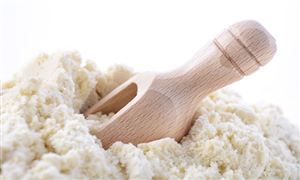 乳清粉行業(yè)市場投資前景及供需格局分析