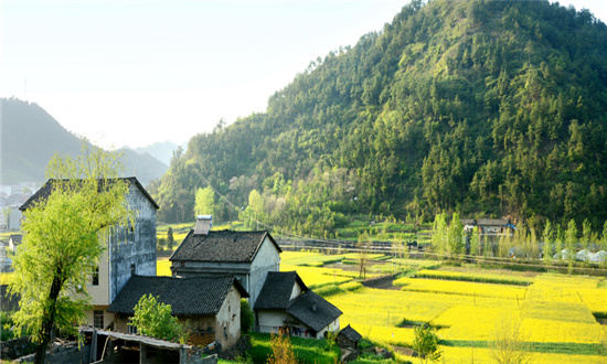 農(nóng)村生活垃圾處理行業(yè)發(fā)展趨勢(shì)及市場(chǎng)現(xiàn)狀分析